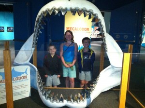 IMG_0617