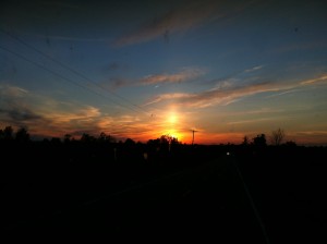 IMG_2801