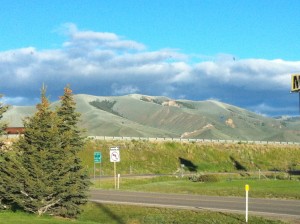IMG_3600