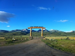 IMG_3604