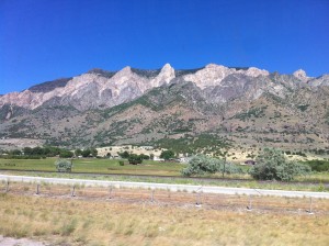 IMG_3711