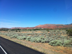 IMG_3768