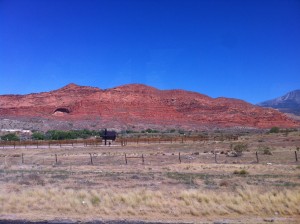IMG_3773