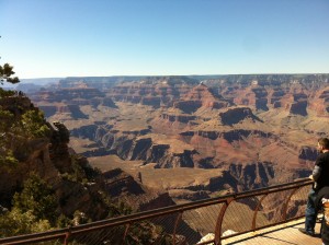 IMG_4247