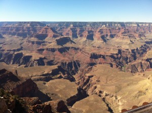 IMG_4281
