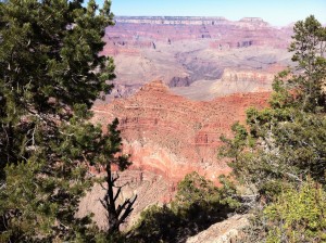 IMG_4305