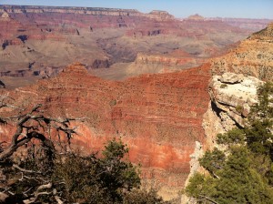IMG_4319