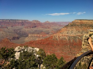 IMG_4325