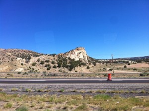IMG_4420