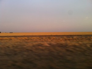 IMG_4623