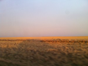 IMG_4624