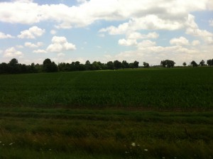 IMG_4786