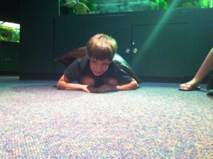 IMG_5373